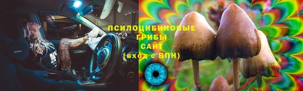 spice Корсаков