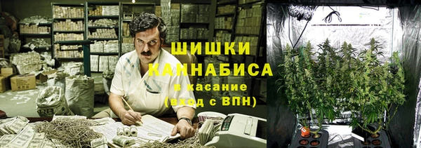 гидра Козельск