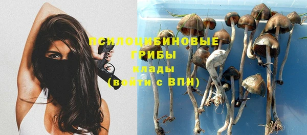 гидра Козельск