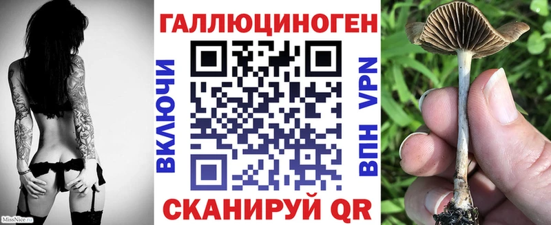 как найти закладки  Лаишево  мега как войти  Псилоцибиновые грибы MAGIC MUSHROOMS 