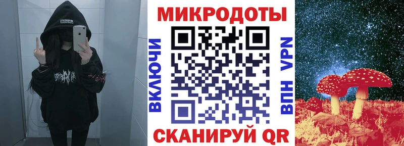 Псилоцибиновые грибы Cubensis Лаишево